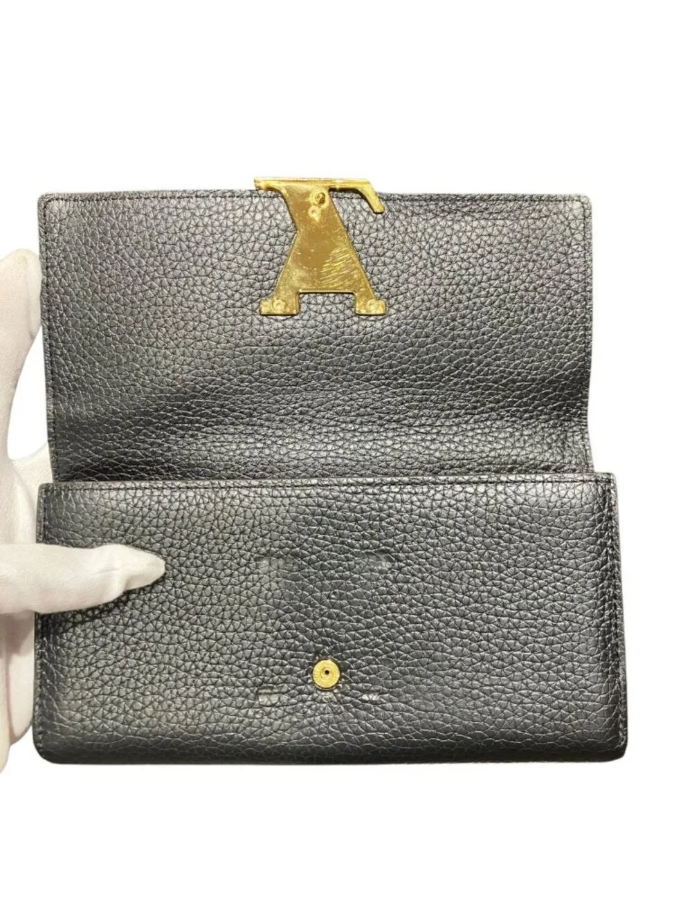 Louis Vuitton brand louis